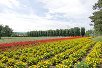 https://images.plurk.com/5u9PQoYkXzoqqGKsN5j9WX.jpg