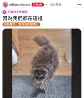 https://images.plurk.com/5uAiiJGtdW4aQxsrZNeHKI.jpg