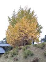 https://images.plurk.com/5uBQYjlgJhllsNVDLeO9mY.jpg
