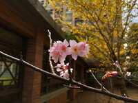 https://images.plurk.com/5uCz3t3s1zaDxPQlPQG2aw.jpg