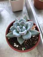 https://images.plurk.com/5uFfMftpiDOBsd01w2apj7.jpg