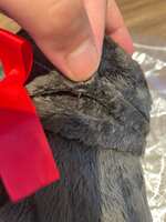 https://images.plurk.com/5uJlFnDg1g2G8FykU8EV1D.jpg