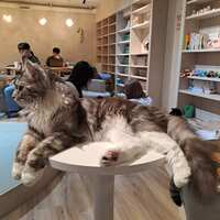 https://images.plurk.com/5uO05w1dpO8MCK616hEaOz.jpg