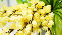 https://images.plurk.com/5uUDYioqgrn7SRLMW3drqp.jpg