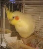 https://images.plurk.com/5uUUpM6JWLzheZYuJjgiC4.jpg