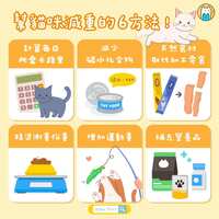 https://images.plurk.com/5ubE4Nn86HDilt0Wa5cJpy.jpg