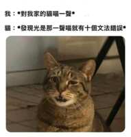 https://images.plurk.com/5ubLXwBLpqt3SRf2rVl3Dn.png