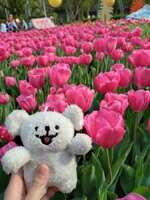 https://images.plurk.com/5uhPX9JmJIDnfi6xPDzfN4.jpg