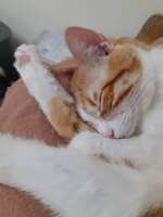 https://images.plurk.com/5uiwRMxbhudLIPjqD9L8ed.jpg