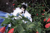 https://images.plurk.com/5ujlUO9sT3n4LKx3FARQKf.jpg