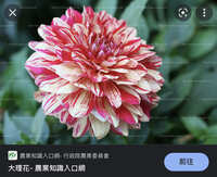 https://images.plurk.com/5umbqAG49DT0JyBEXyV0Xx.jpg