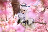 https://images.plurk.com/5utOFEoKq4ueWzNd2aLqDT.jpg