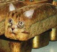 https://images.plurk.com/5uu9WeITiq8Ubl6AGmlIF.jpg