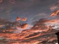https://images.plurk.com/5uxhanxom9PArZ09Ck5iZm.jpg