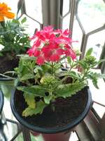 https://images.plurk.com/5uyK6ngSxaIVLMyLb49CLs.jpg