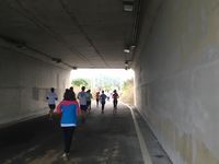 https://images.plurk.com/5v0oAIzOrep4DCy6gEubl9.jpg
