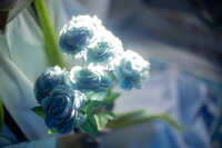 https://images.plurk.com/5v4VoGkOc48pCqdQrUTd0N.jpg