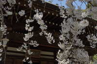 https://images.plurk.com/5vA6sOuv3Fn7vL4sDVfGMJ.jpg