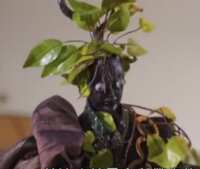 https://images.plurk.com/5vCdE7YF3X1LO5hvZcbrBh.png