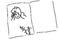 https://images.plurk.com/5vO7eigF3OTkFEsmet4OhW.png