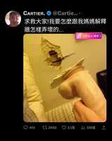 https://images.plurk.com/5vPAW5KqlUZXMityT7CvdF.jpg