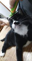 https://images.plurk.com/5vWIIjkRNIVcXWLFTkxl1J.jpg