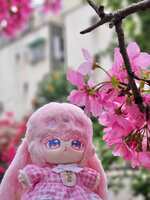 https://images.plurk.com/5vcoMNr0exyazu46CgFt3x.jpg