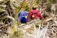 https://images.plurk.com/5vdbBATZn6QT4aEATiIlG8.jpg