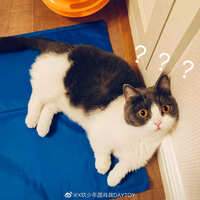 https://images.plurk.com/5vf4B8VyFxhKueMB46u5OD.jpg