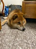 https://images.plurk.com/5vkuVRe9hx9hkWL9ehNM6w.jpg