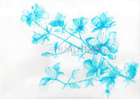 https://images.plurk.com/5vpw98qj9VtZPix14kC3ry.jpg