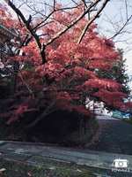 https://images.plurk.com/5vrXqPxnbf7wT3ykJzhrSu.jpg