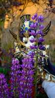 https://images.plurk.com/5vyEtvFzLwv2f7bqNJHu6I.jpg