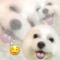 https://images.plurk.com/5w2eix4qIkiAEMb3PICZqA.jpg