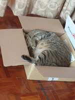 https://images.plurk.com/5wAZQWLEtOPwxkH8dlVAU8.jpg
