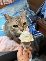 https://images.plurk.com/5wCFfUSpya7IVqMZqO3OXV.jpg