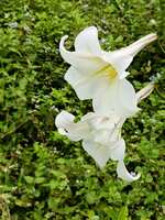https://images.plurk.com/5wZfiHqNc0tCSrhFc9C1Cw.jpg