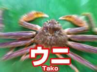 https://images.plurk.com/5wf1OaFnFYwvViku5g3heV.jpg
