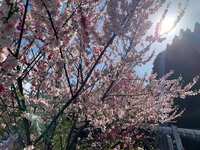 https://images.plurk.com/5wp37sO3fDtKMR96TBk75q.jpg