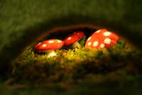 https://images.plurk.com/5wsQ3Jjq5w3eCEAQYA3LzS.jpg