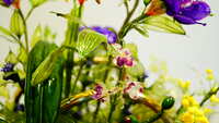 https://images.plurk.com/5wtl1yUSqmTQ7jHrJhJmdp.jpg