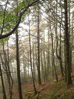 https://images.plurk.com/5xJ3mzom7QgffENAmqfGqs.jpg