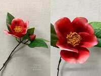 https://images.plurk.com/5xWw8hY06FqQzNZDBR3nux.png