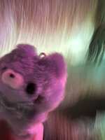 https://images.plurk.com/5xoRChV80OTszNPPPYl2B6.jpg