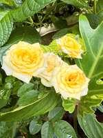 https://images.plurk.com/5xtIr1ydsL7BwBrVI3TrSR.jpg