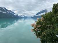https://images.plurk.com/5xtdxjnC0u0Q4WNyDGt5Lc.jpg