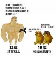 https://images.plurk.com/5y0NwIYBJ50pwD1Gw9bsfv.jpg