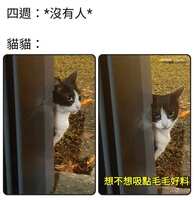 https://images.plurk.com/5y7OnUTflNqmEafOP9pynZ.jpg