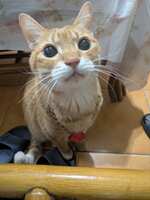 https://images.plurk.com/5yHiA7YH6lS9PkFDd6acgy.jpg