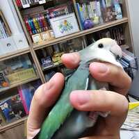 https://images.plurk.com/5yJw1r5GdiCKolcexLu1ko.jpg